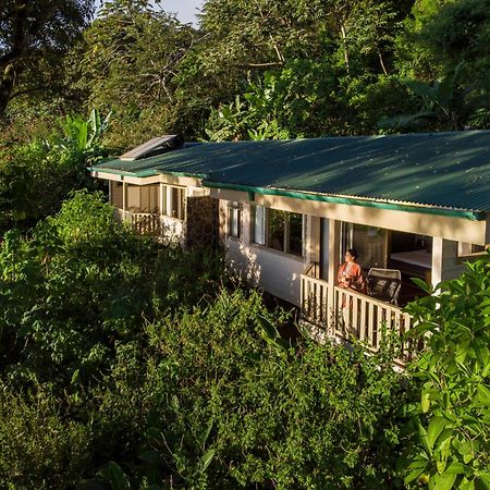 Senda Monteverde Hotel Member Of The Cayuga Collection Exterior photo