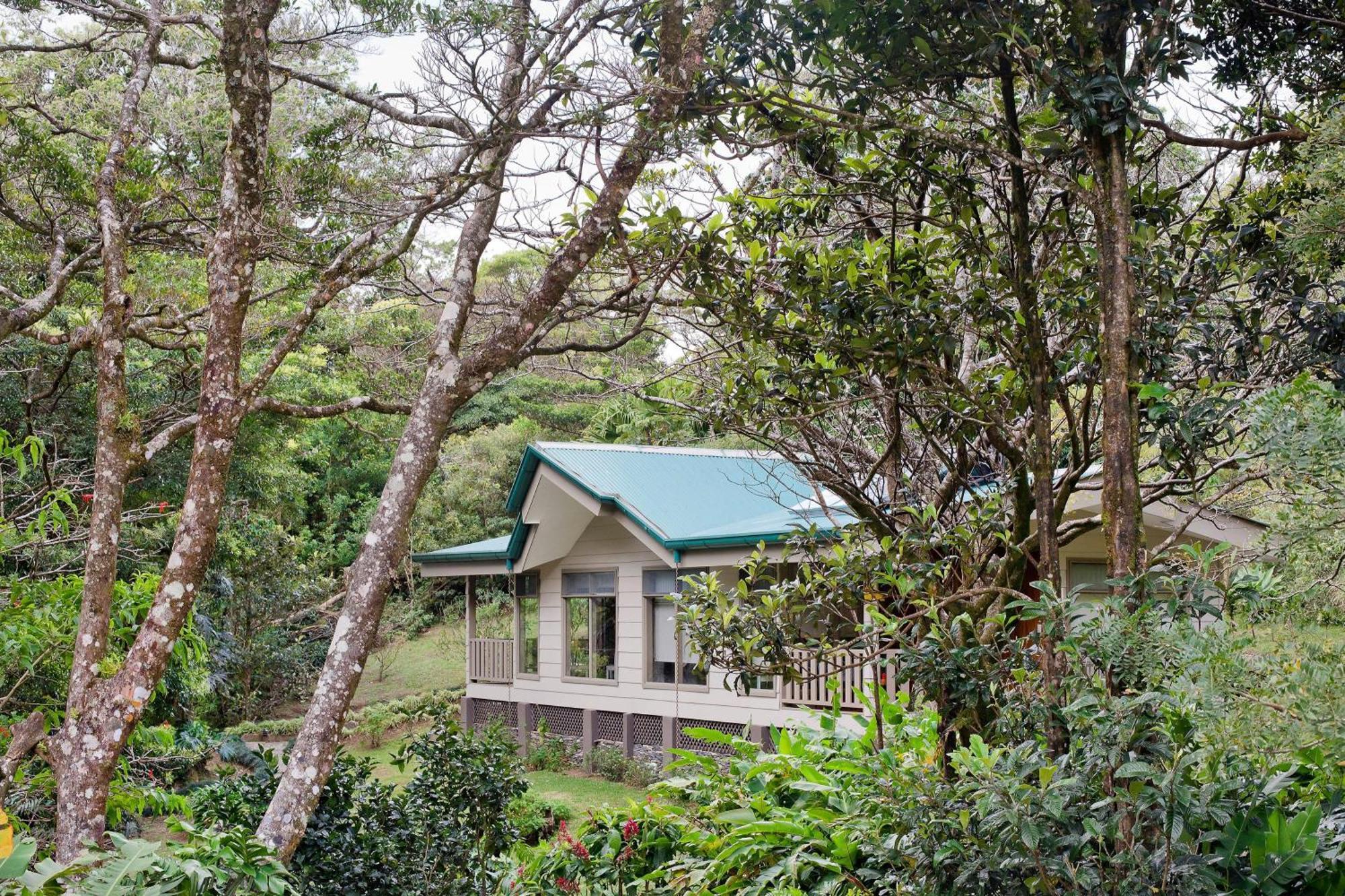 Senda Monteverde Hotel Member Of The Cayuga Collection Exterior photo